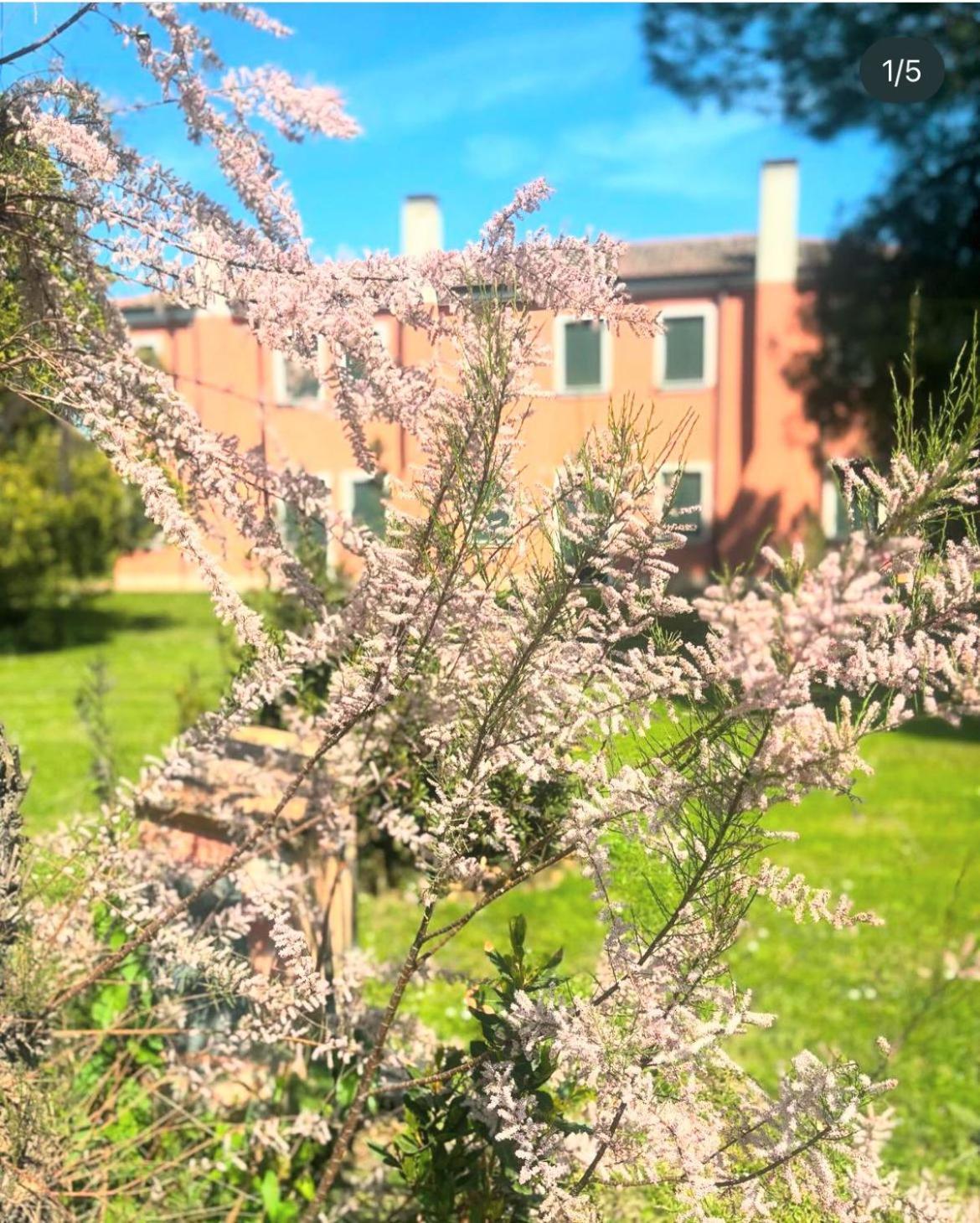 Agriturismo Ca' Bonelli 1924 Scardovari Exterior photo